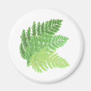 Aimant Élégante fougères vertes feuilles de bois