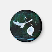 Élégants Aiguts En Danse