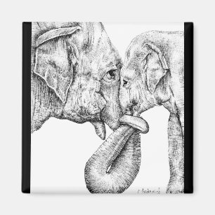 Aimant Éléphant