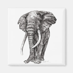Aimant Éléphant