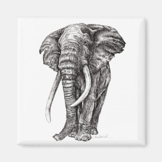 Aimant Eléphant