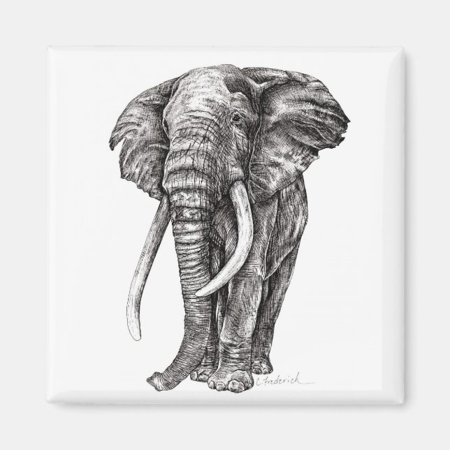 Aimant Eléphant (Devant)