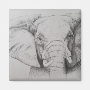 Aimant Éléphant 2011