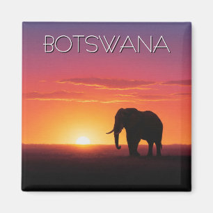 Aimant Eléphant au Botswana au coucher du soleil