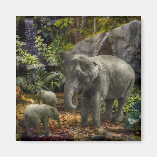 Aimant Elephant Family RAIN FOREST PARTI (Devant)