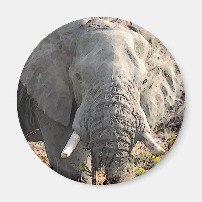 Aimant Eléphant Pop Art (Devant)