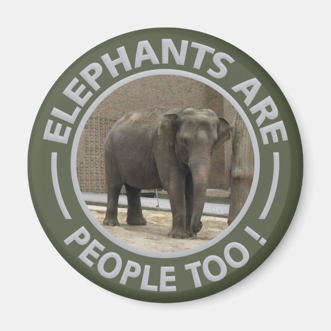 Aimant ÉLÉPHANTS (Devant)