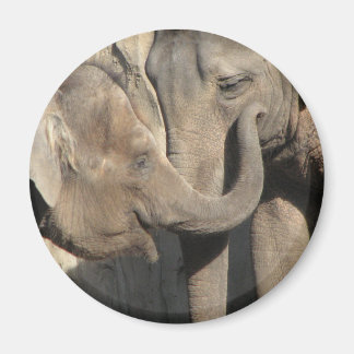 Aimant Eléphants