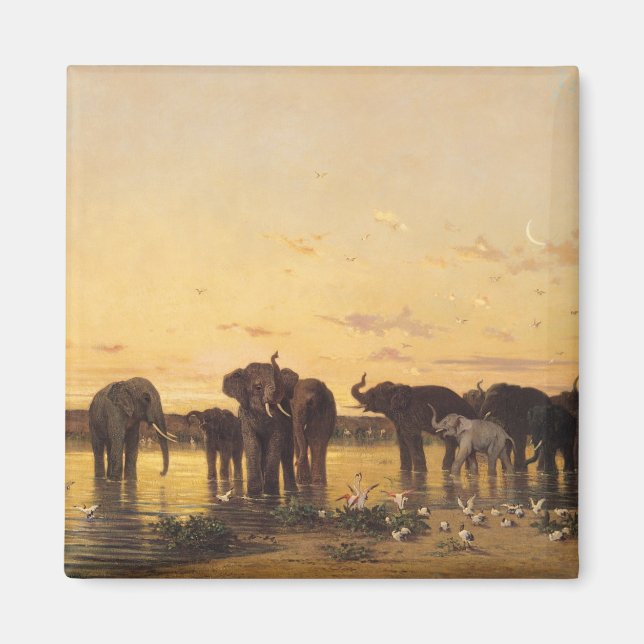 Aimant Eléphants africains (Devant)
