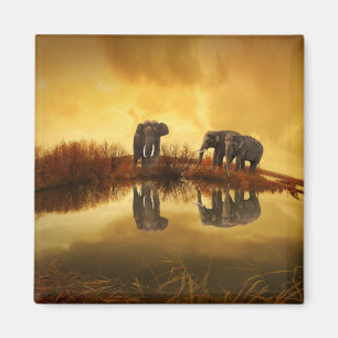 Aimant Eléphants asiatiques en Thaïlande sous un coucher