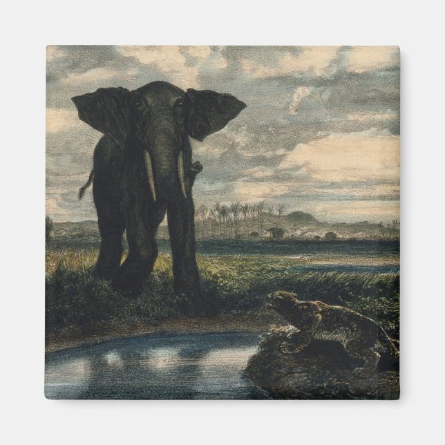 Aimant Eléphants et panthère dans le désert indien (Devant)