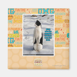 Aimant Élevé par des pingouins