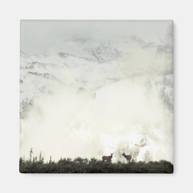 Aimant Elk at Grand Teton National Park Photographie (Devant)