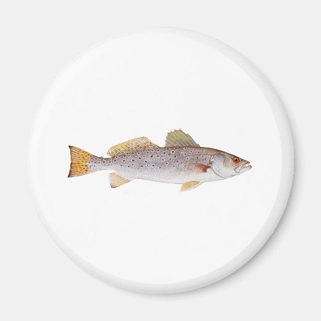 Aimant Emplacement (Devant)