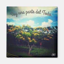 Aimant empoderamiento