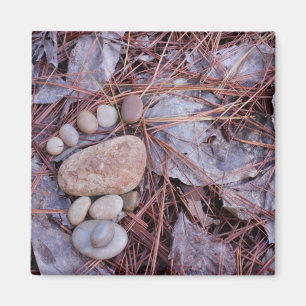 Aimant Empreinte de pas de roche