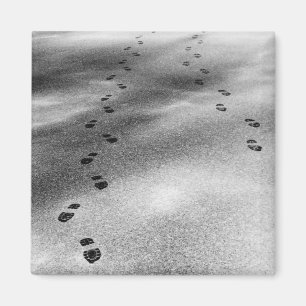 Aimant Empreintes de neige