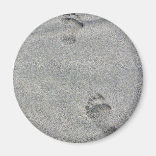 Aimant Empreintes De Sable