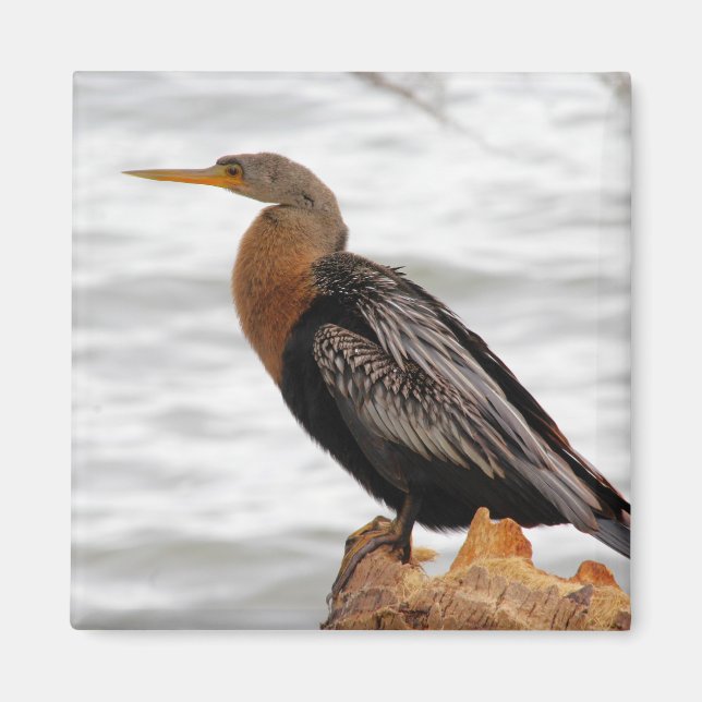 Aimant En attente (Devant)