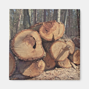 Aimant en bois