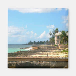 Aimant En Bord De Mer