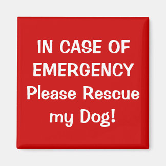 Aimant En Coque d'urgence