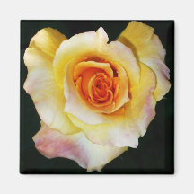 Aimant en forme de rose en forme de cœur