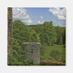 Aimant En Irlande, au château de Blarney, une tour en pi