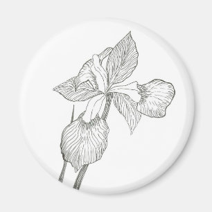 Aimant Encre d'iris
