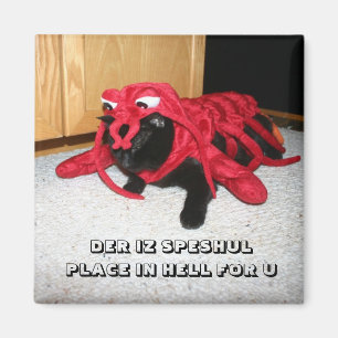 AIMANT ENDROIT DE DER IZ SPESHUL DANS L'ENFER POUR U