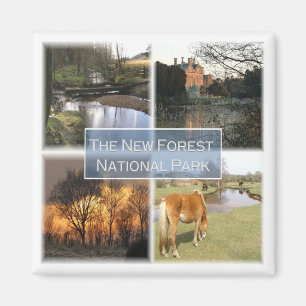 Aimant ENG041 LE NOUVEAU PARC NATIONAL FORET Angleterre,