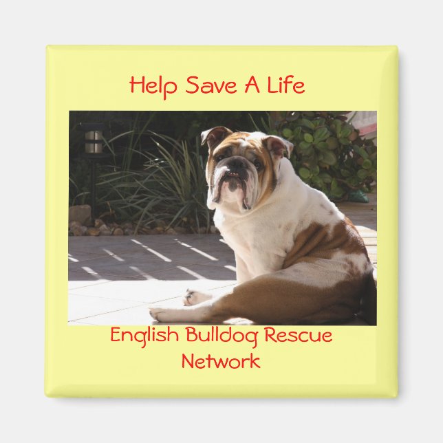 Aimant English Bulldog Secourt Network - Customisé (Devant)
