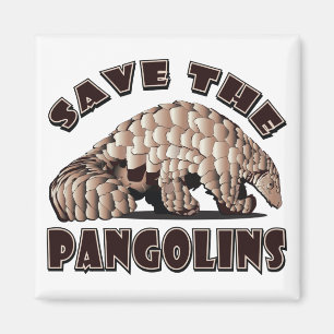 Aimant Enregistrer les pangolins