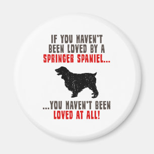 Aimant Épagneul de springer anglais