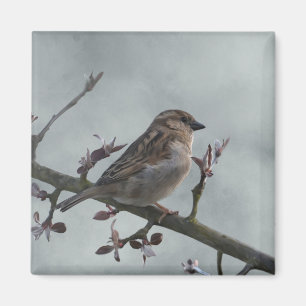 Aimant Épervier sur la photo de branche