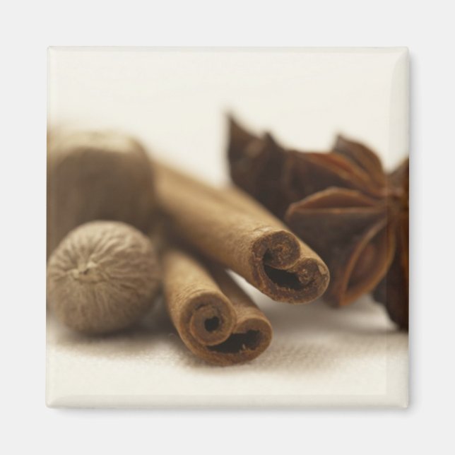 Aimant Épices de vacances (Devant)