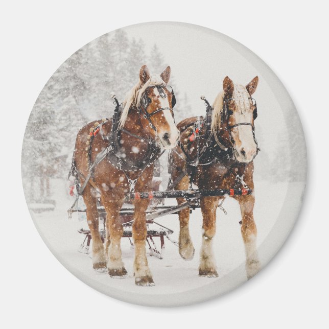 Aimant Équipe de Belgique de cheval Wintery Christmas Sce (Devant)