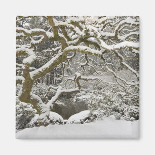 Aimant Érable japonais couvert de neige