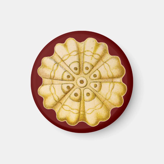 Aimant Ernst Haeckel (Devant)