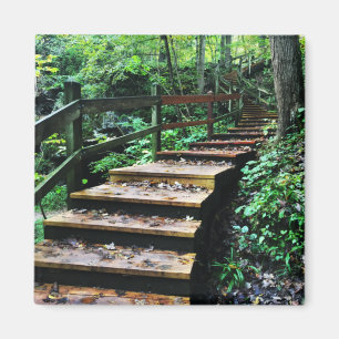 Aimant escalier du parc d'état des grottes maquoketa