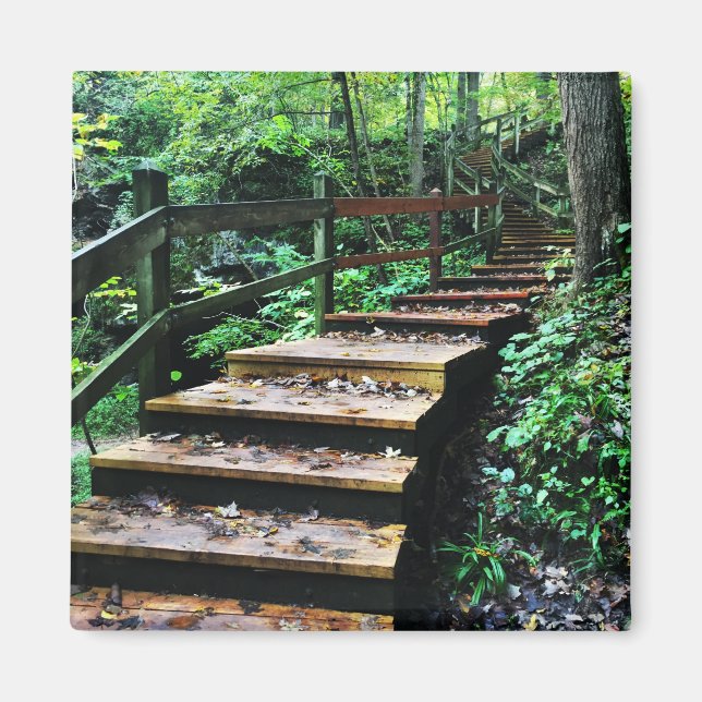 Aimant escalier du parc d'état des grottes maquoketa (Devant)