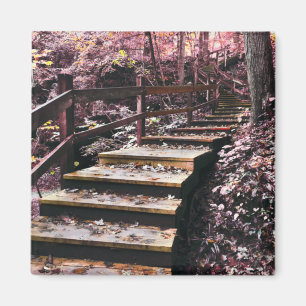 Aimant escalier rêve