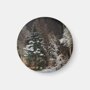 Aimant Esthétique de la forêt hivernale givré