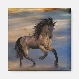 Aimant Etalon .. sauvage