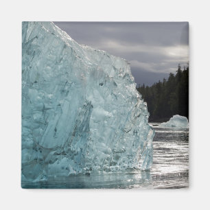 Aimant États-Unis, Alaska, Forêt nationale de Tongass, Tr