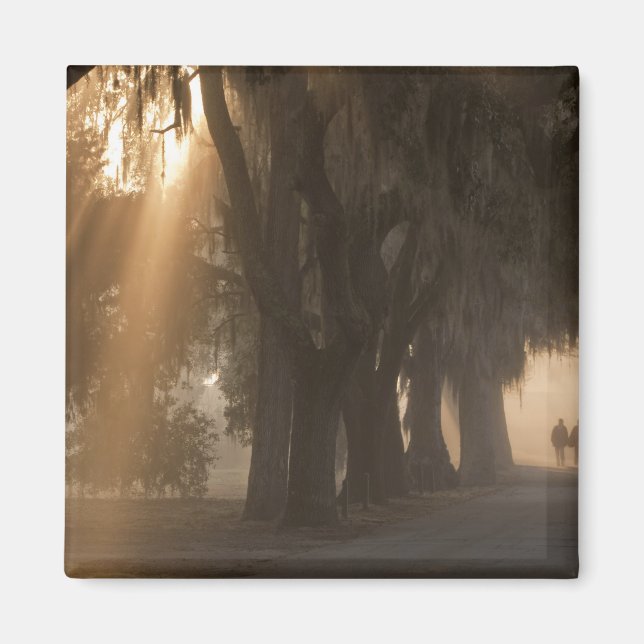 Aimant États-Unis, Amérique du Nord, Géorgie, Savannah. G (Devant)