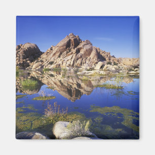 Aimant États-Unis, Californie, Parc national de Joshua Tr