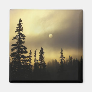 Aimant États-Unis, Colorado, forêt nationale de San Isabe