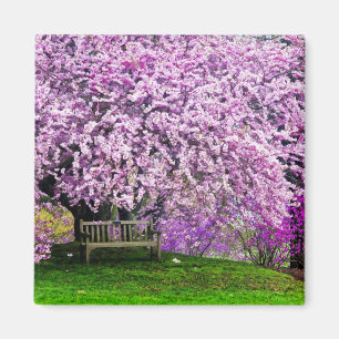 Aimant États-Unis, Delaware, Wilmington. Banc en bois so