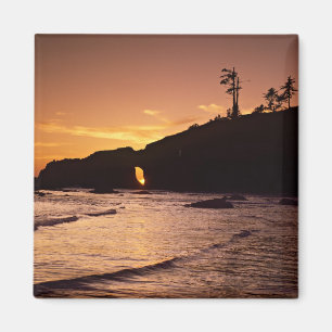 Aimant États-Unis, État de Washington, Parc national ol